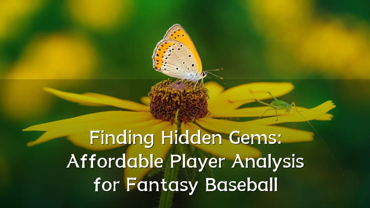 Finding Hidden Gems: Affordable Player Analysis for Fantasy Baseball