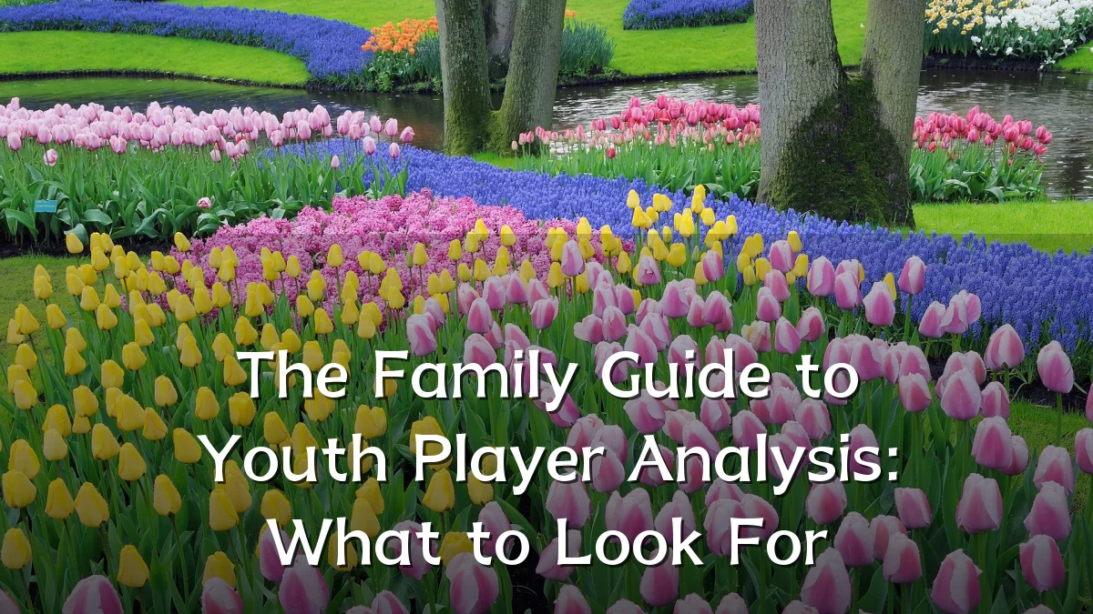 The Family Guide to Youth Player Analysis: What to Look For